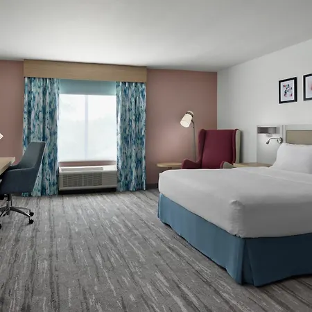 Hilton Garden Inn Tampa East Brandon Exterior photo