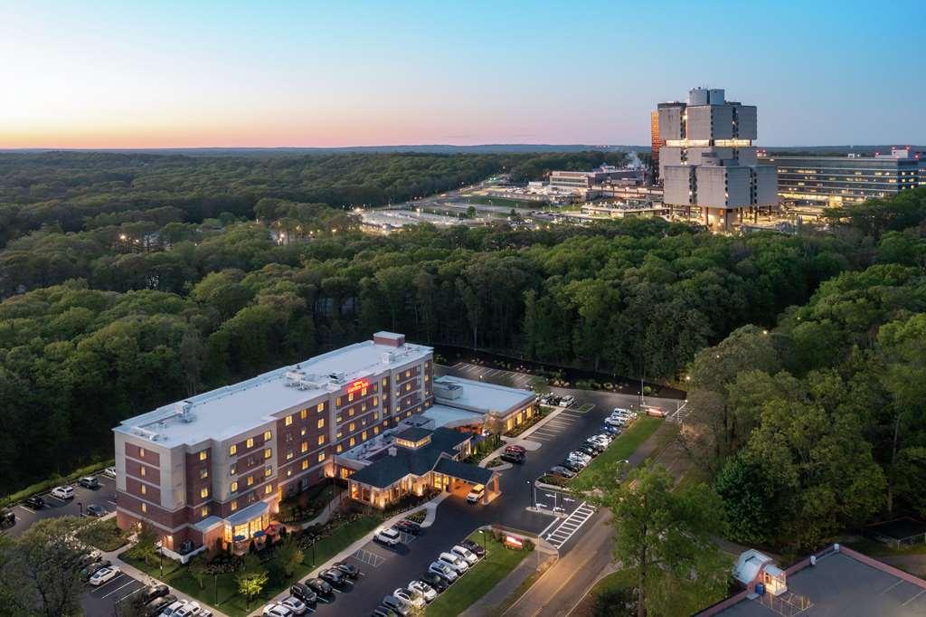 Hotel Hilton Garden Tampa East Brandon