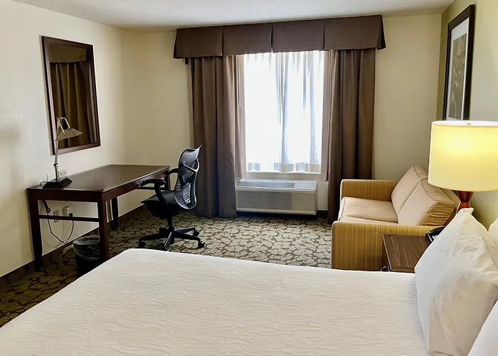 Hilton Garden Inn Tampa East/Brandon